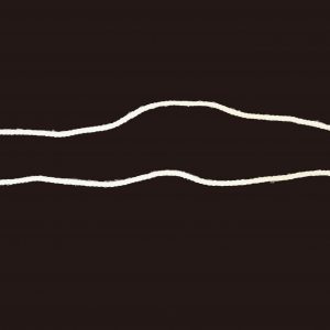 Organic Cotton String with Recycled Plastic Seal