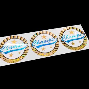 Recycled Plastic Sticker