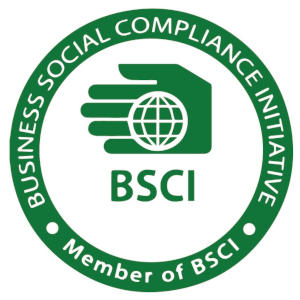 BSCI logo